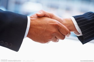 佛山市高明区荷城路思通五金厂 公司简介