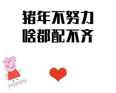 湖南长沙新语婚介所 专业服务助力美满姻缘