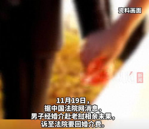 跨国相亲梦碎，法院判返十万婚介费